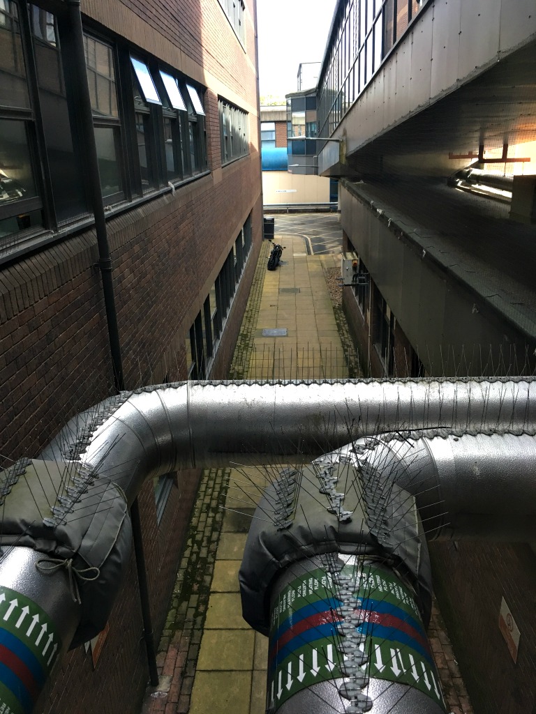 File:Hot water pipes - geograph.org.uk - 5505842.jpg