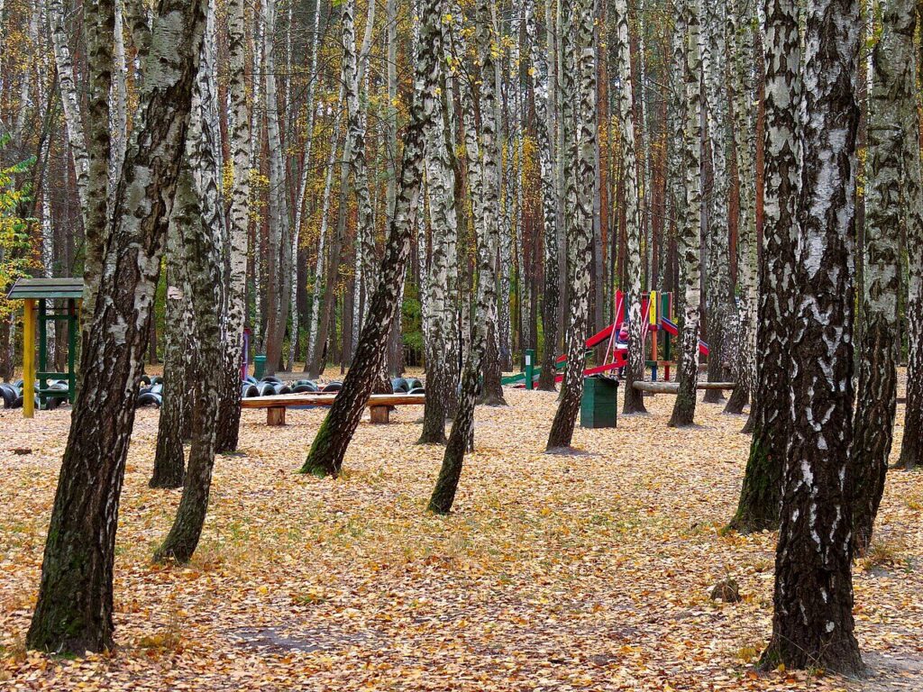 Перемога, Святошинський район Києва — виклик сантехніка