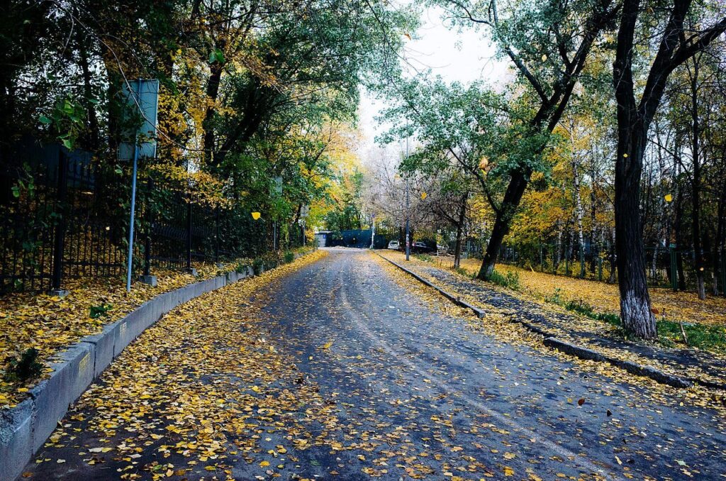 Протасів Яр, Солом'янський район Києва — виклик сантехніка